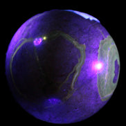 Septarian Dragon Stone sphere 57mm 248g Rocks and Things