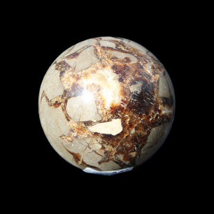 Septarian Dragon Stone sphere 51mm 192g in sunlight - Rocks and Things Store