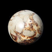 Septarian Dragon Stone sphere 51mm 192g in sunlight - Rocks and Things Store
