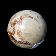 Septarian Dragon Stone sphere 51mm 192g in sunlight - Rocks and Things Store