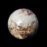 Septarian Dragon Stone sphere 51mm 192g in sunlight - Rocks and Things Store