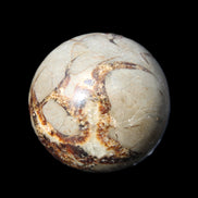 Septarian Dragon Stone sphere 51mm 192g in sunlight - Rocks and Things Store