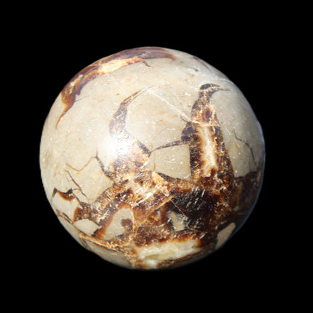 Septarian Dragon Stone sphere 51mm 192g in sunlight - Rocks and Things Store