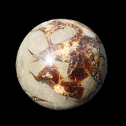 Septarian Dragon Stone sphere 51mm 192g in sunlight - Rocks and Things Store