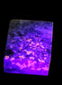 Yooperlite Lake Superior Sodalite 147g in UV light - Rocks and Things Store