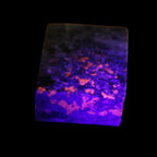 Yooperlite Lake Superior Sodalite 147g in UV light - Rocks and Things Store