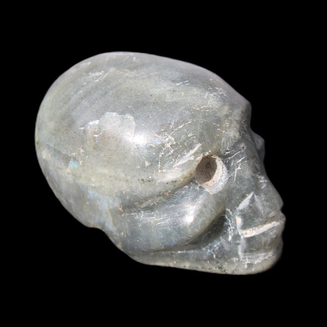Labradorite skull 60g in sunlight - Rocks and Things Store