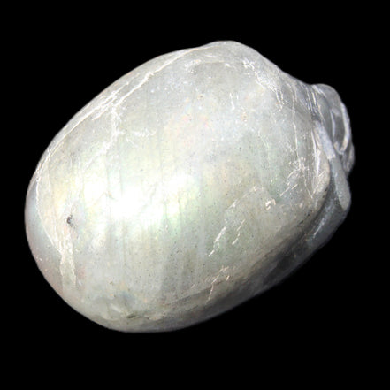 Labradorite skull 60g in sunlight - Rocks and Things Store