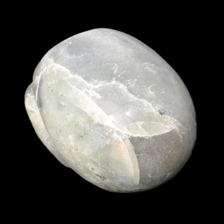 Labradorite skull 60g in sunlight - Rocks and Things Store