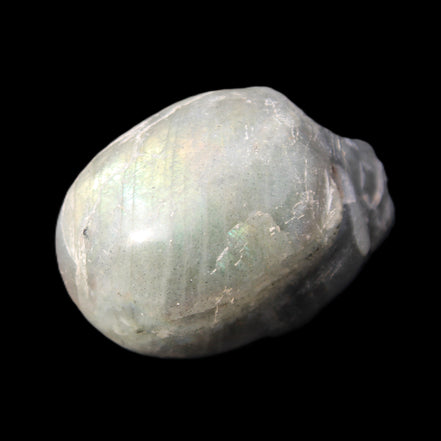 Labradorite skull 60g in sunlight - Rocks and Things Store