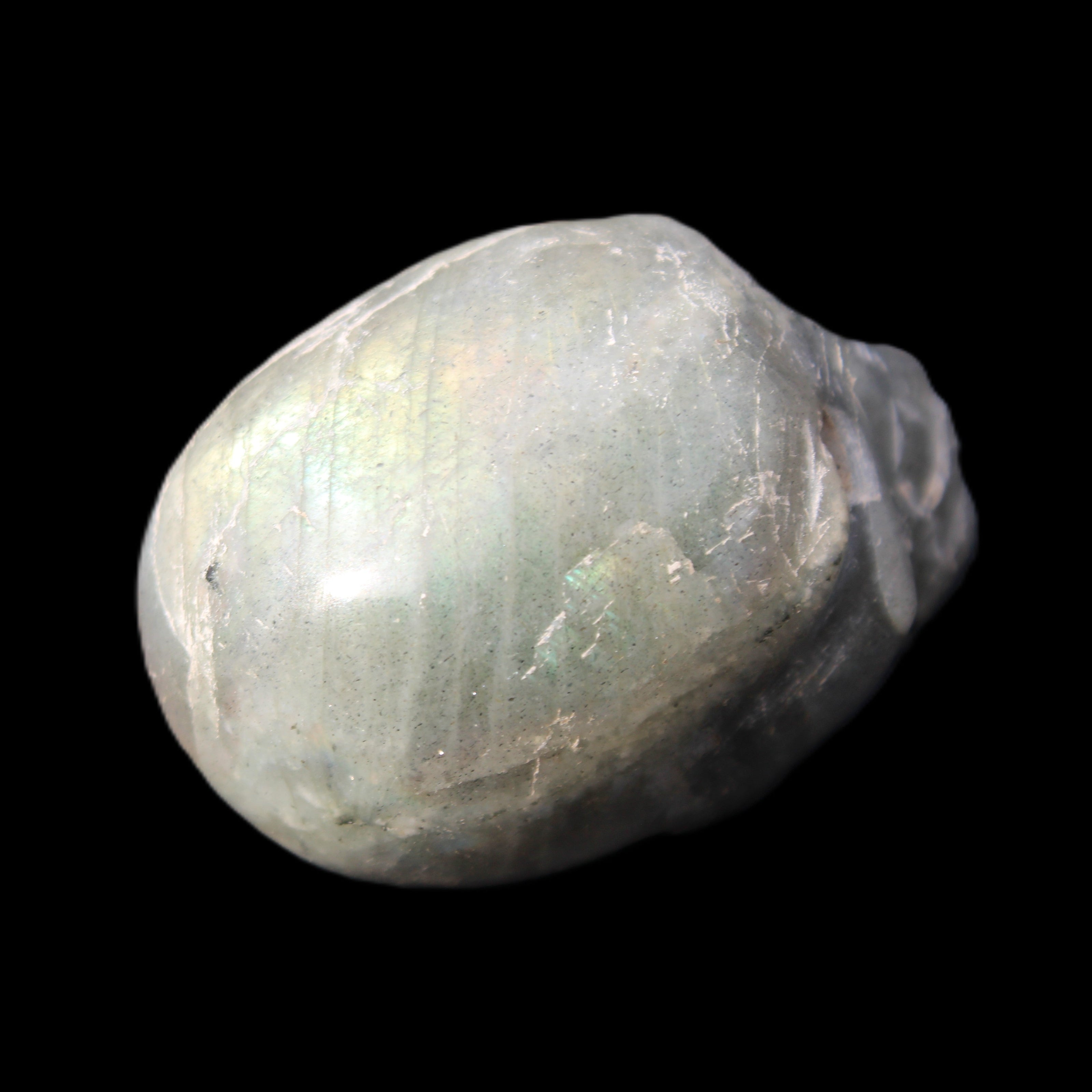 Labradorite skull 60g in sunlight - Rocks and Things Store