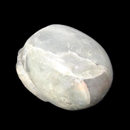 Labradorite skull 60g in sunlight - Rocks and Things Store