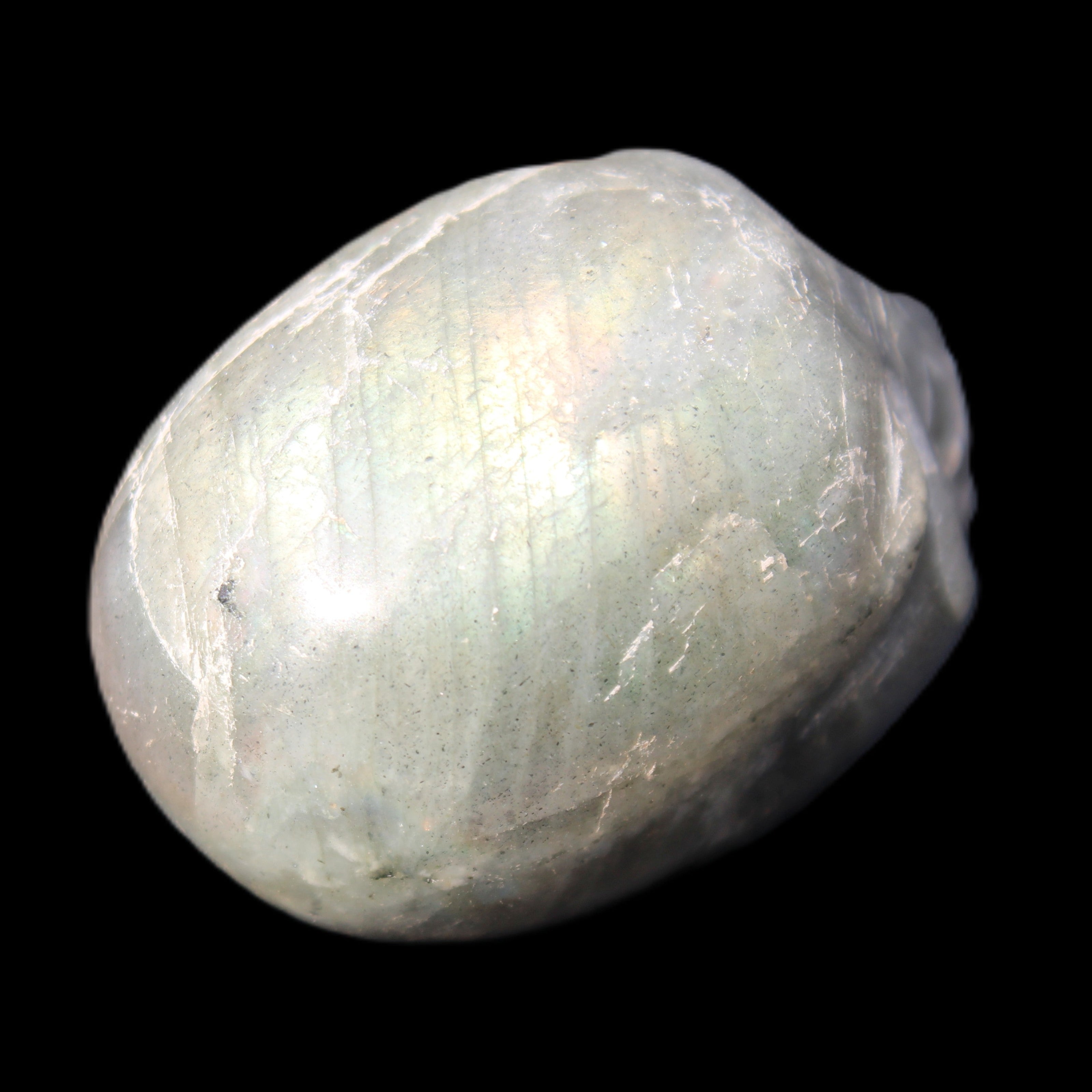 Labradorite skull 60g in sunlight - Rocks and Things Store