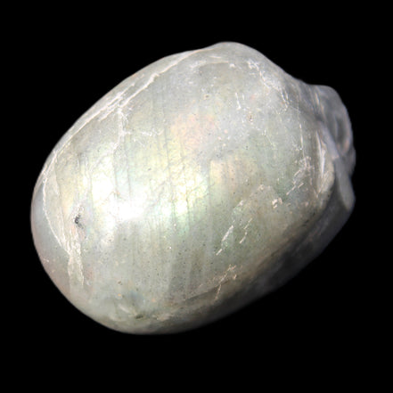 Labradorite skull 60g in sunlight - Rocks and Things Store