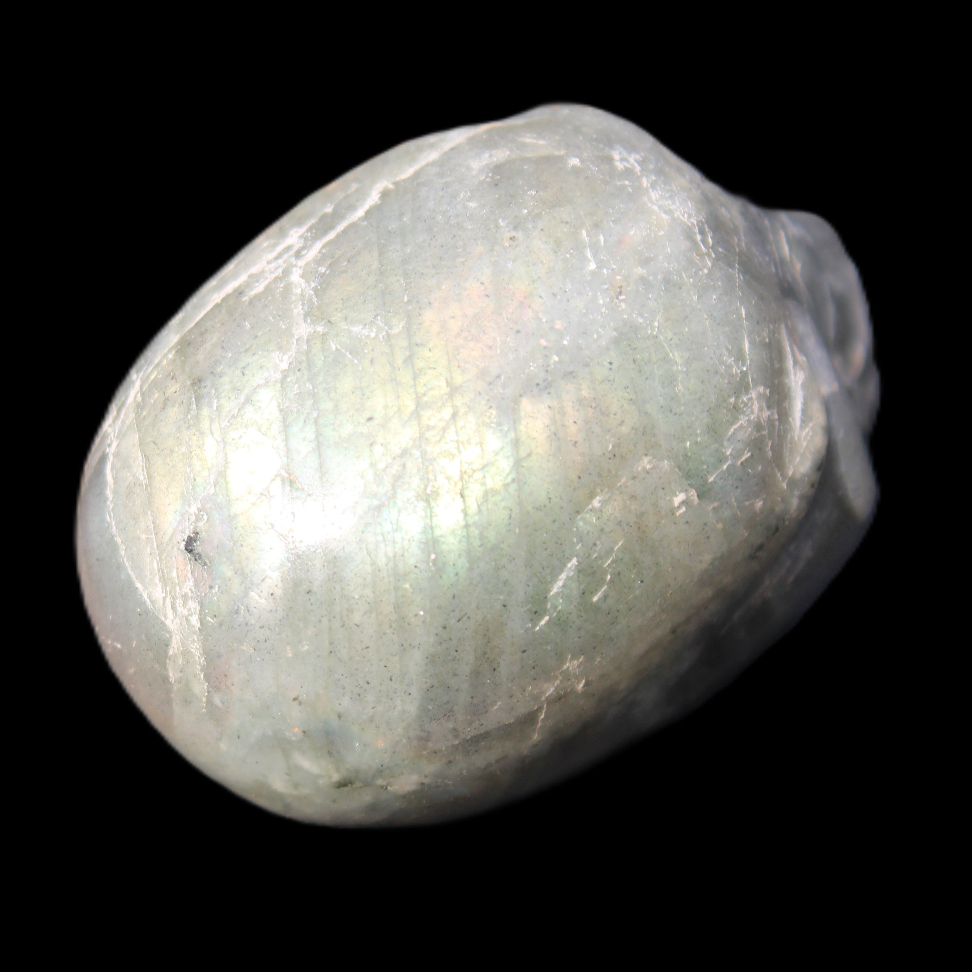 Labradorite skull 60g in sunlight - Rocks and Things Store