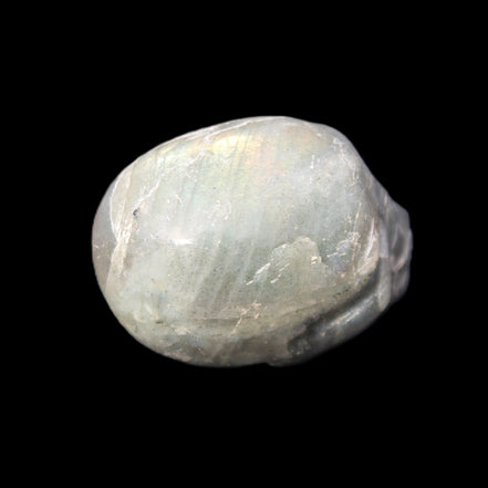 Labradorite skull 60g in sunlight - Rocks and Things Store