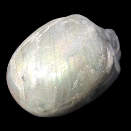 Labradorite skull 60g in sunlight - Rocks and Things Store