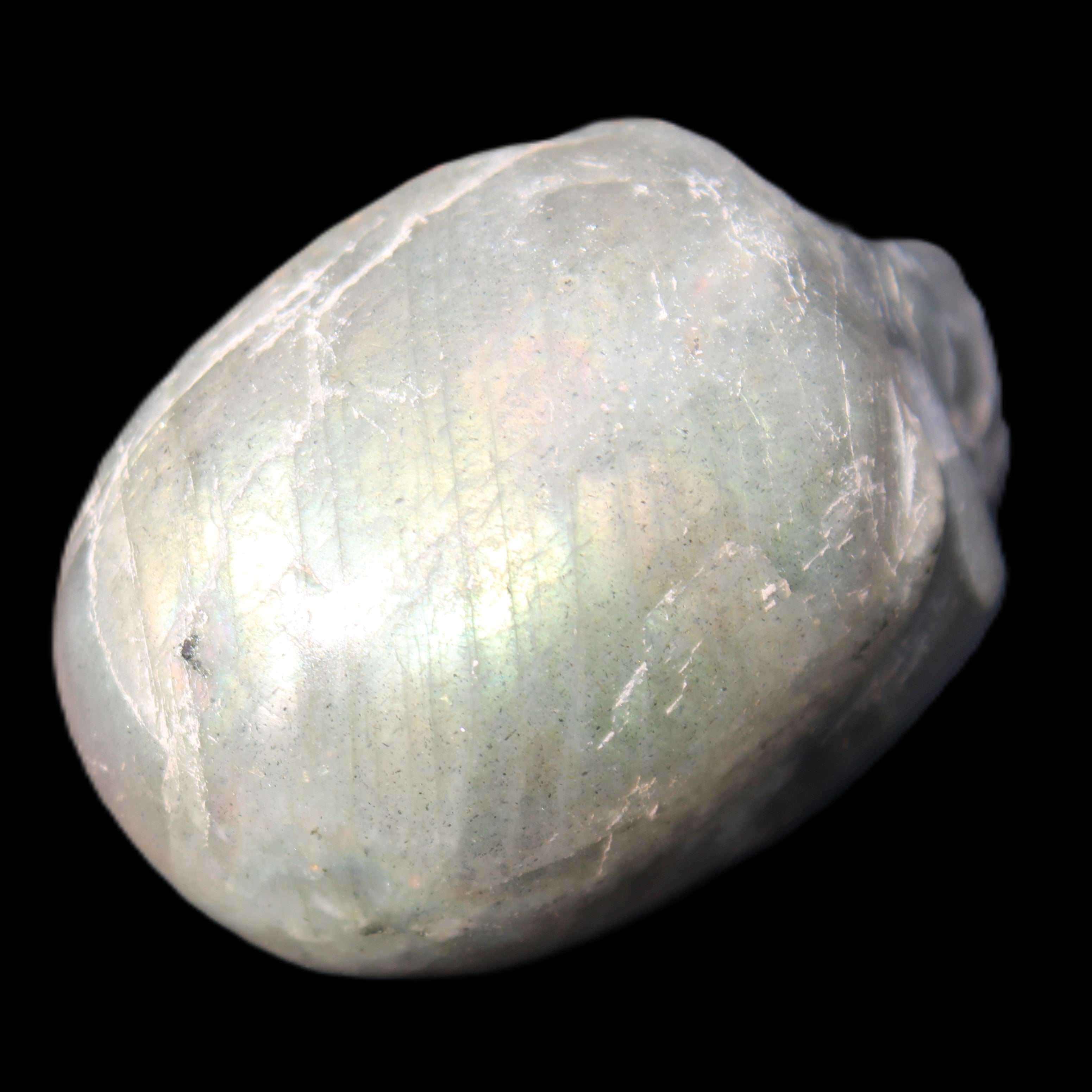 Labradorite skull 60g in sunlight - Rocks and Things Store