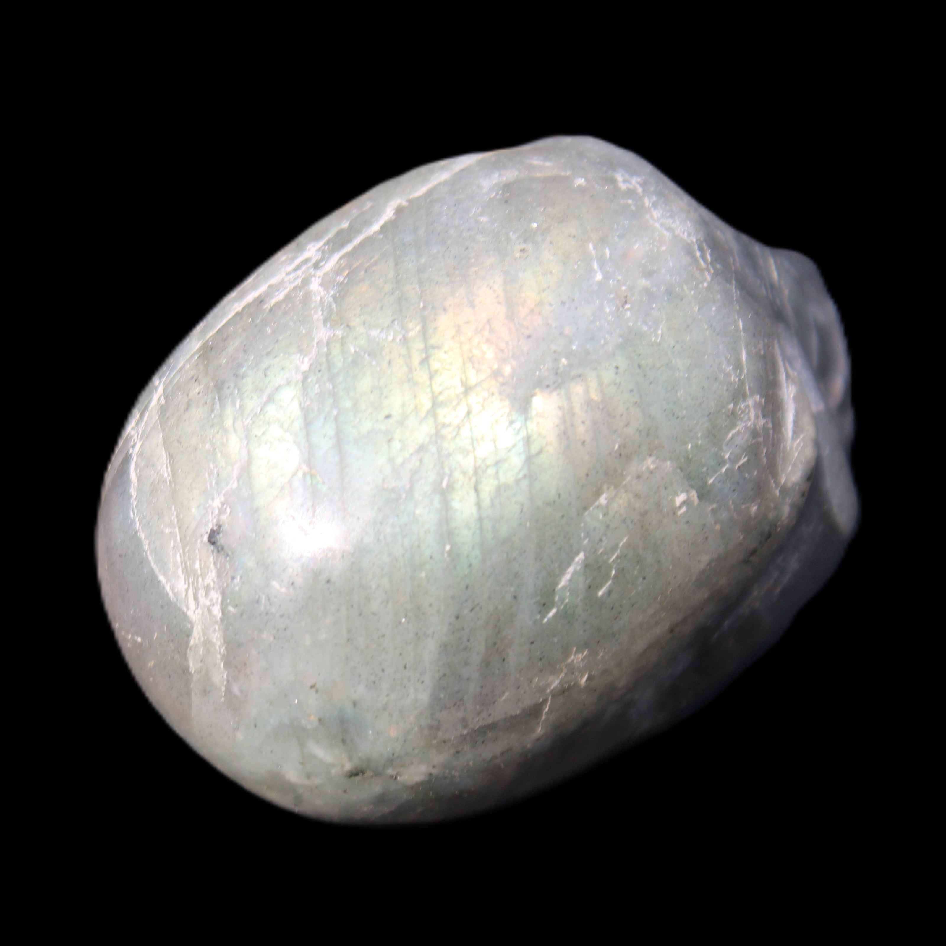 Labradorite skull 60g in sunlight - Rocks and Things Store