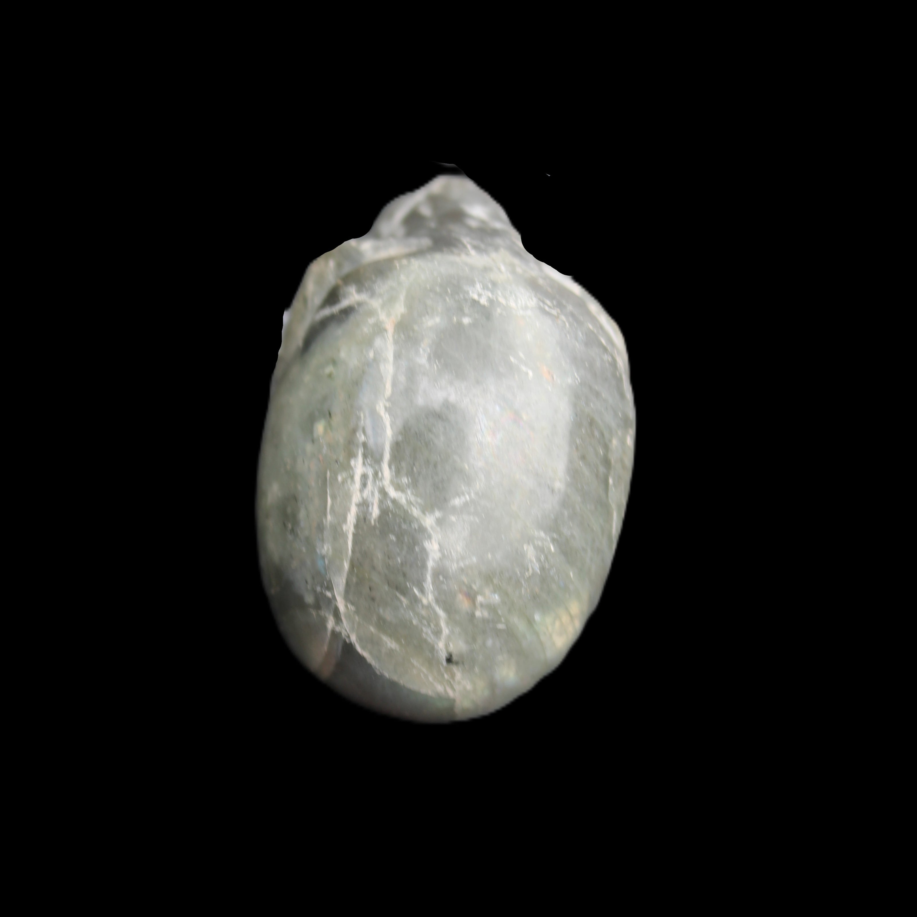 Labradorite skull 60g in sunlight - Rocks and Things Store