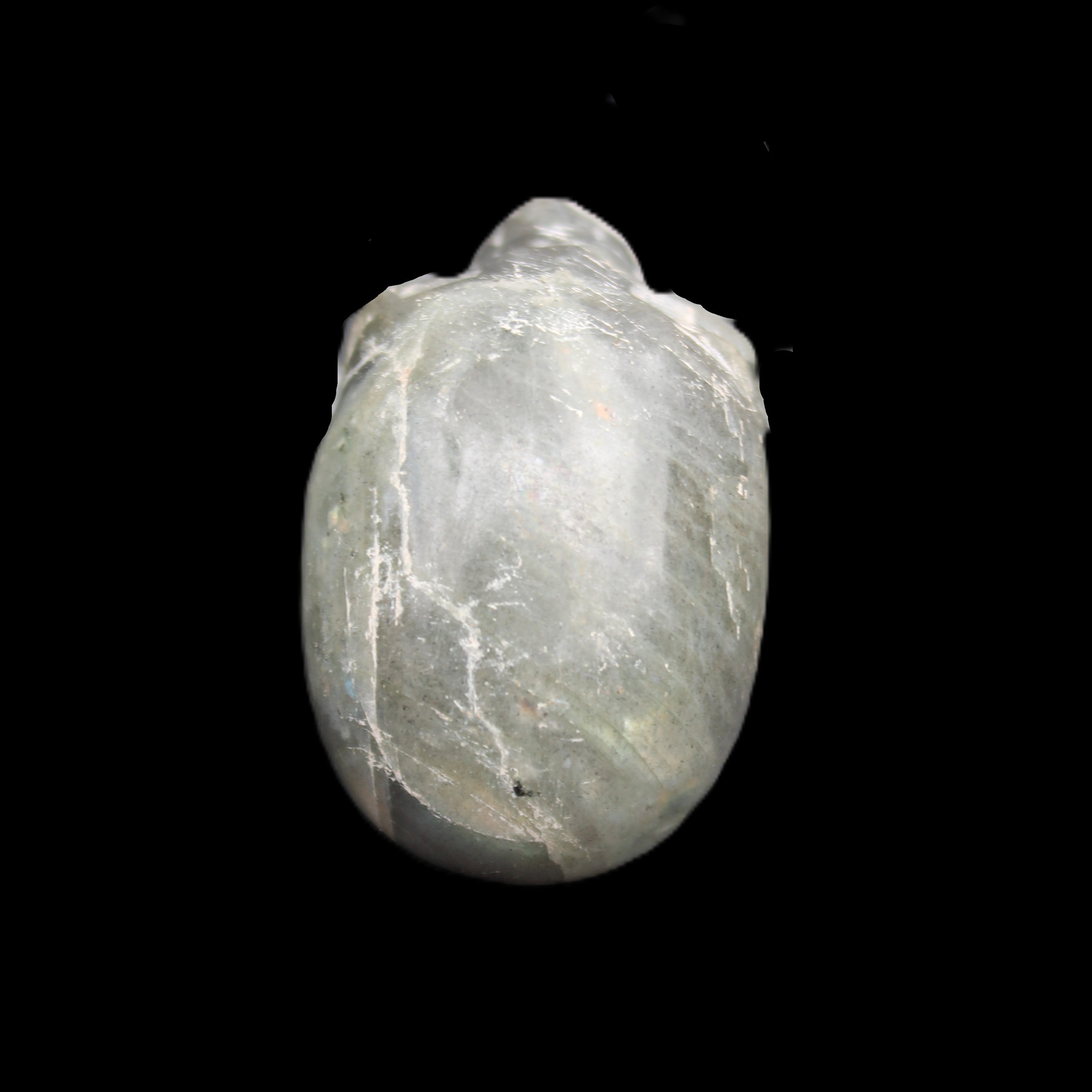 Labradorite skull 60g in sunlight - Rocks and Things Store