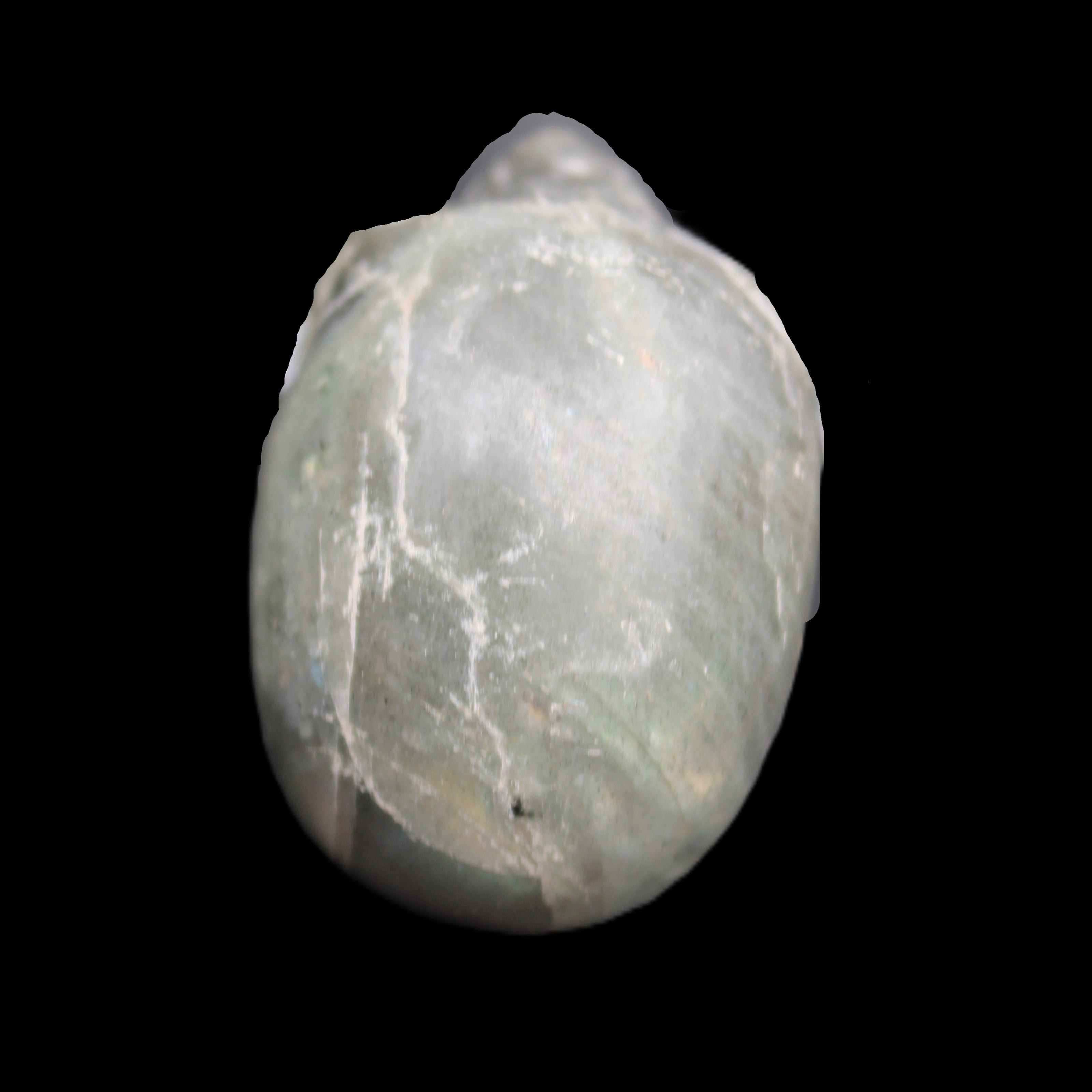 Labradorite skull 60g in sunlight - Rocks and Things Store