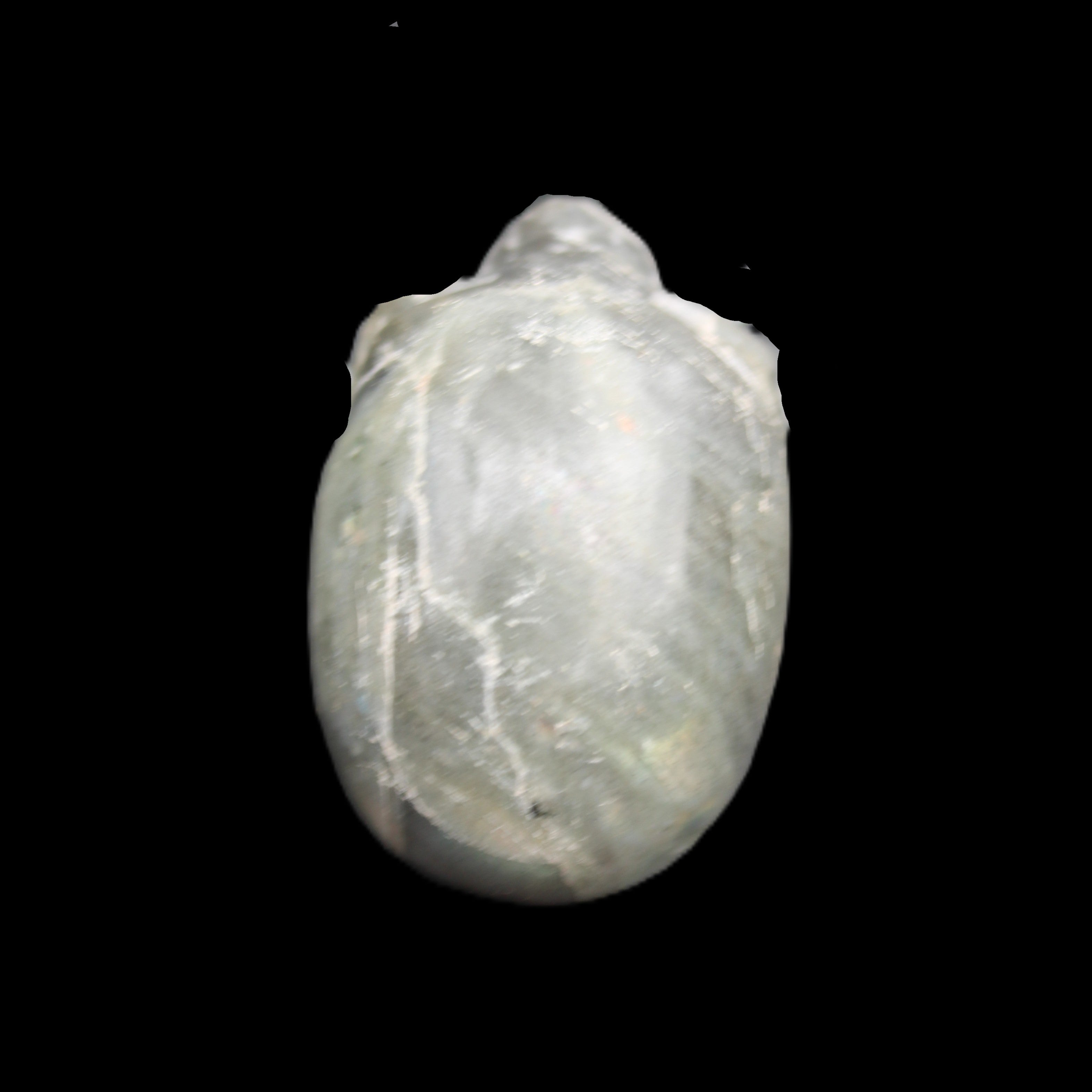 Labradorite skull 60g in sunlight - Rocks and Things Store