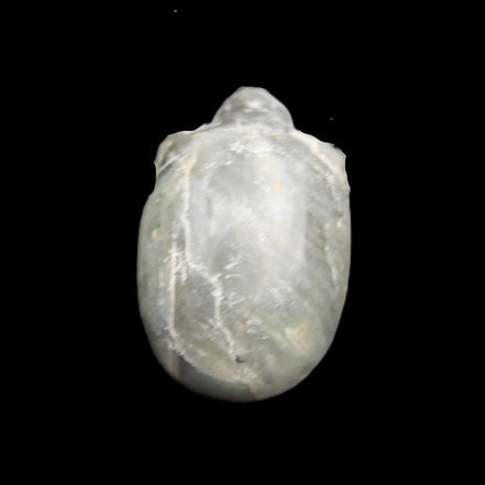 Labradorite skull 60g in sunlight - Rocks and Things Store