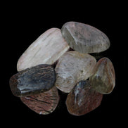 Green Hair Rutilated Quartz 7 tiny crystals 8g in sunlight - Rocks and Things Store