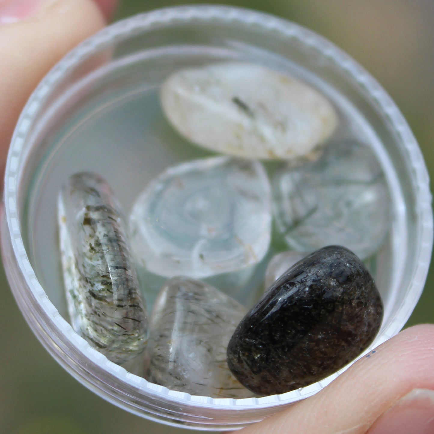 Green Hair Rutilated Quartz 7 tiny crystals 8g Rocks and Things