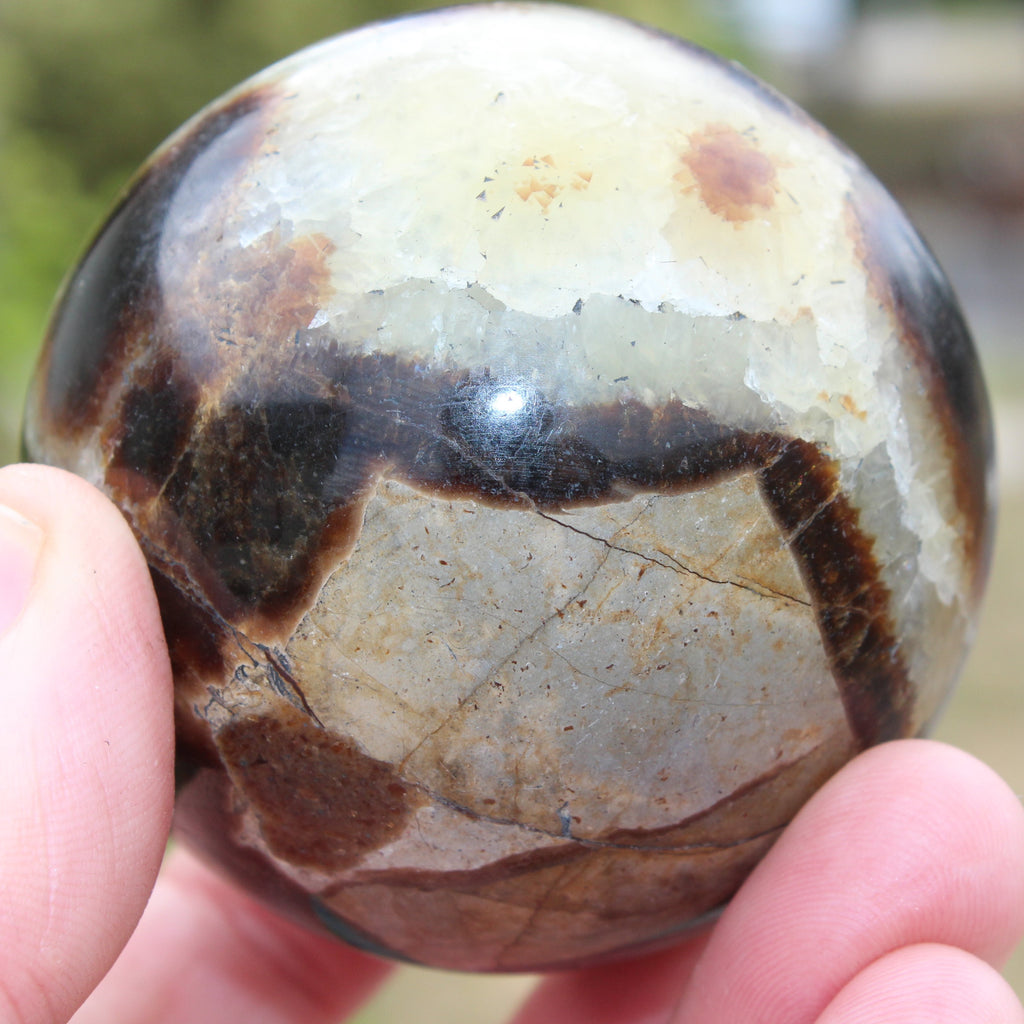 Septarian Dragon Stone sphere 64mm 357g Rocks and Things