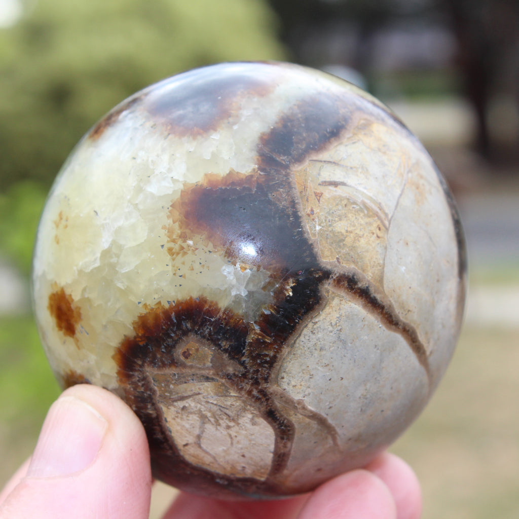 Septarian Dragon Stone sphere 64mm 357g Rocks and Things