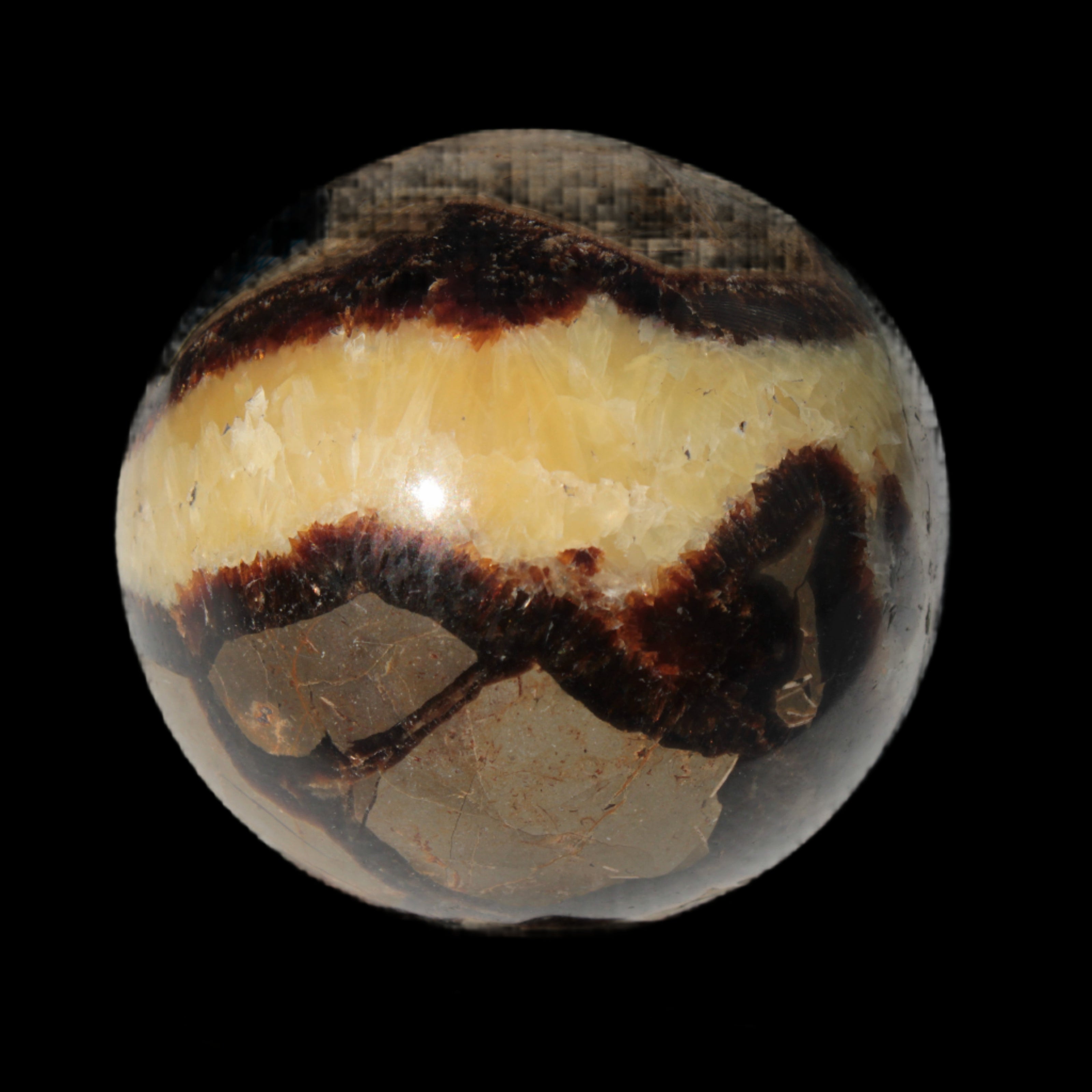 Septarian Dragon Stone sphere 64mm 357g  in sunlight - Rocks and Things Store