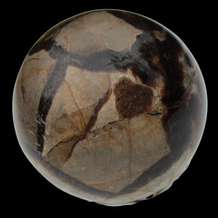 Septarian Dragon Stone sphere 64mm 357g  in sunlight - Rocks and Things Store