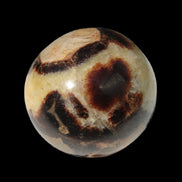 Septarian Dragon Stone sphere 64mm 357g  in sunlight - Rocks and Things Store