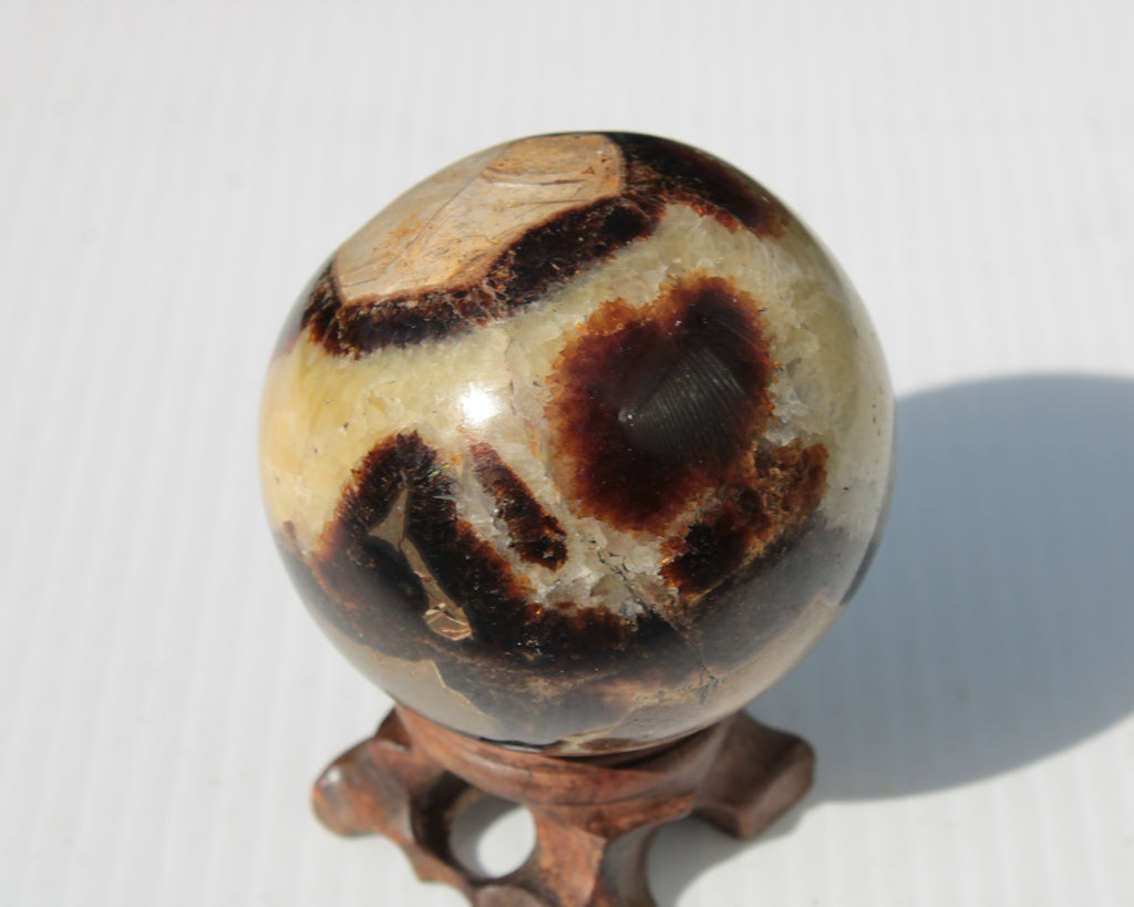 Septarian Dragon Stone sphere 64mm 357g Rocks and Things