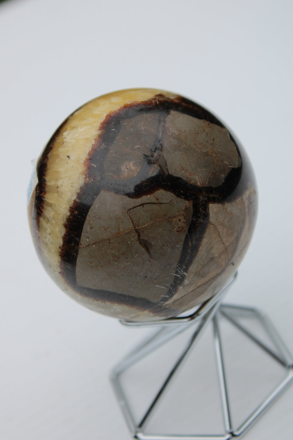 Septarian Dragon Stone sphere 64mm 357g Rocks and Things