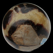 Septarian Dragon Stone sphere 64mm 357g  in sunlight - Rocks and Things Store