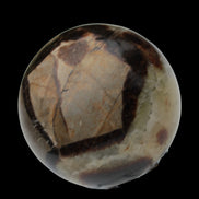 Septarian Dragon Stone sphere 64mm 357g  in sunlight - Rocks and Things Store