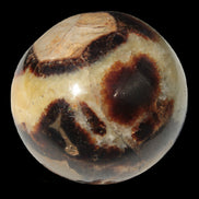 Septarian Dragon Stone sphere 64mm 357g  in sunlight - Rocks and Things Store