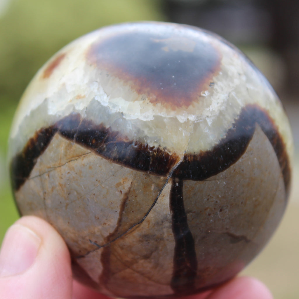 Septarian Dragon Stone sphere 64mm 357g Rocks and Things