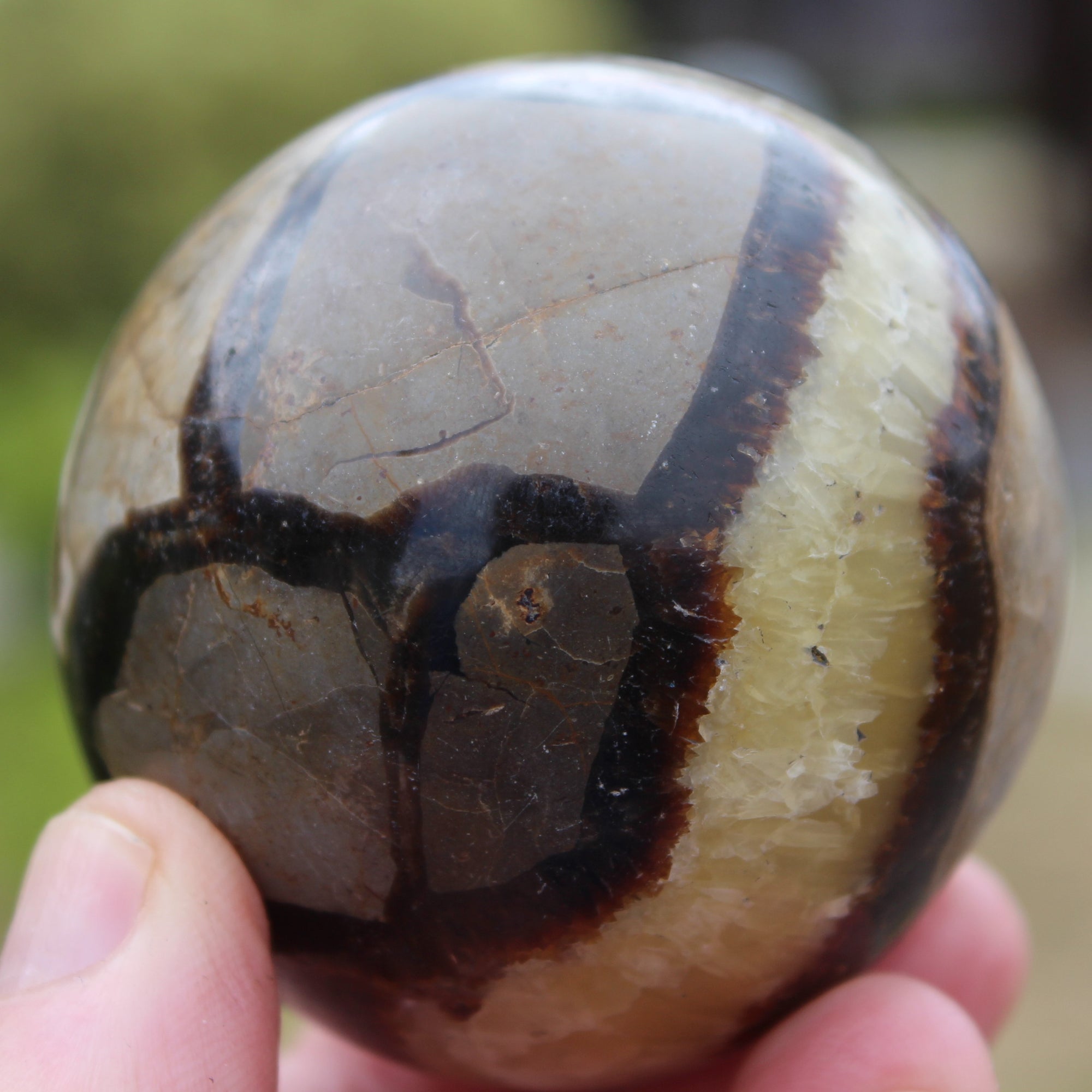 Septarian Dragon Stone sphere 64mm 357g Rocks and Things