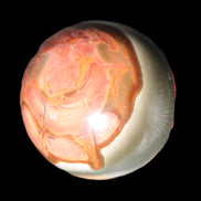 Marine Jasper sphere 45mm 126g Rocks and Things