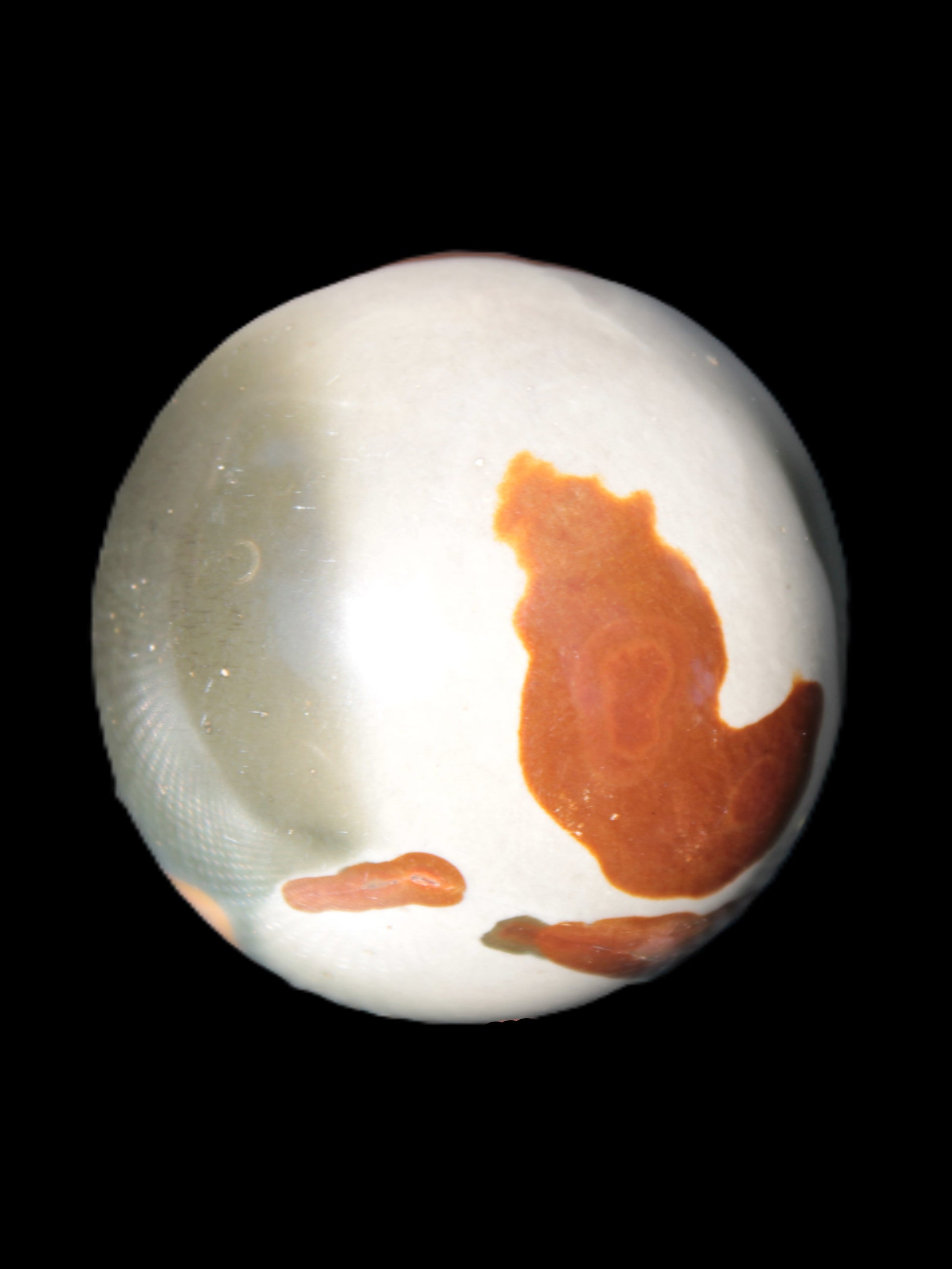 Marine Jasper sphere 45mm 126g Rocks and Things