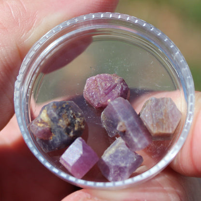 Red Corundum Ruby crystal untreated, 5/6 crystals 8g Rocks and Things