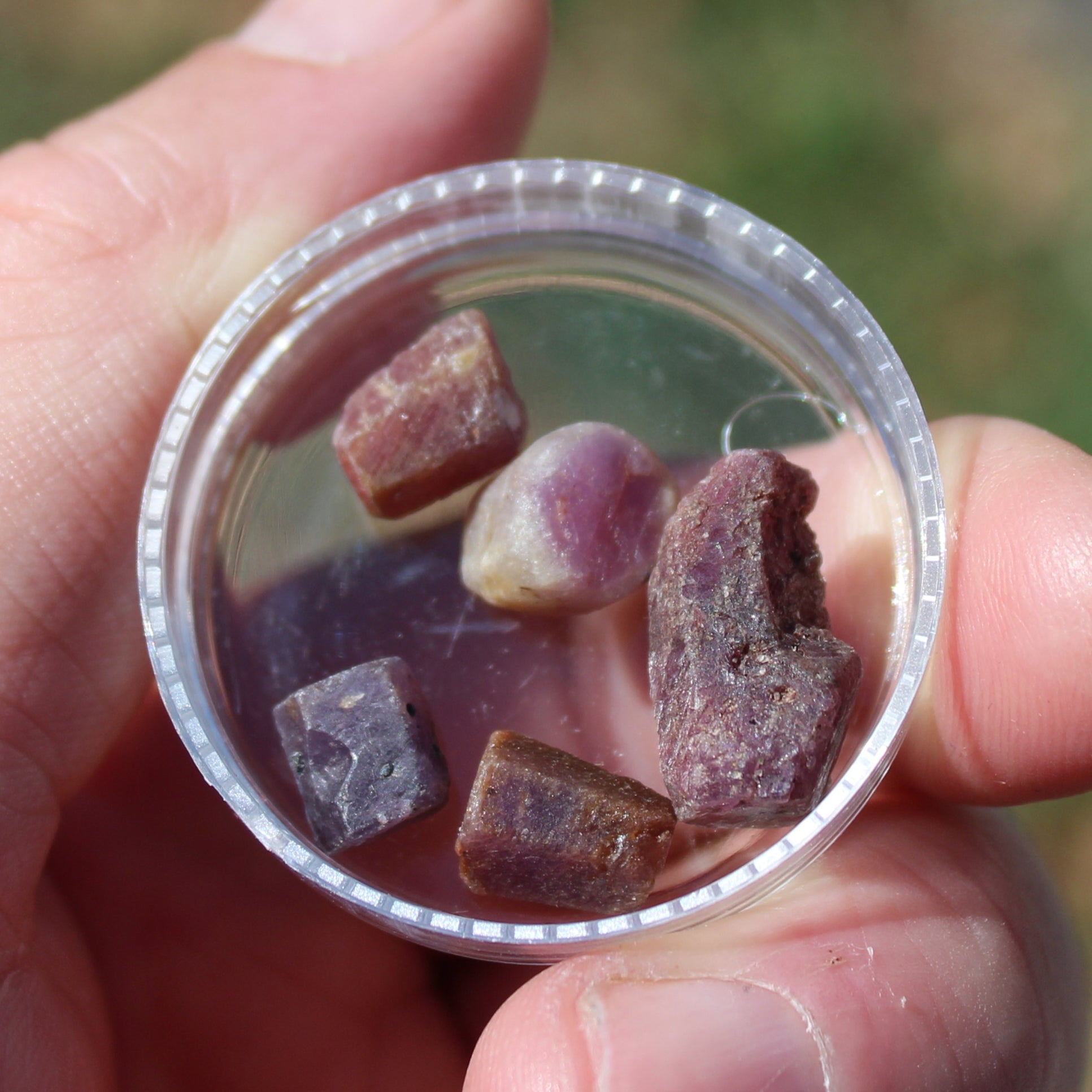 Red Corundum Ruby crystal untreated, 5/6 crystals 8g Rocks and Things