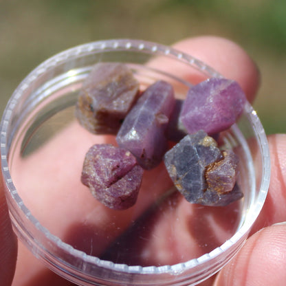 Red Corundum Ruby crystal untreated, 5/6 crystals 8g Rocks and Things