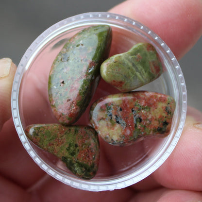 Unakite tiny tumbled 4-8 stones 9g Rocks and Things