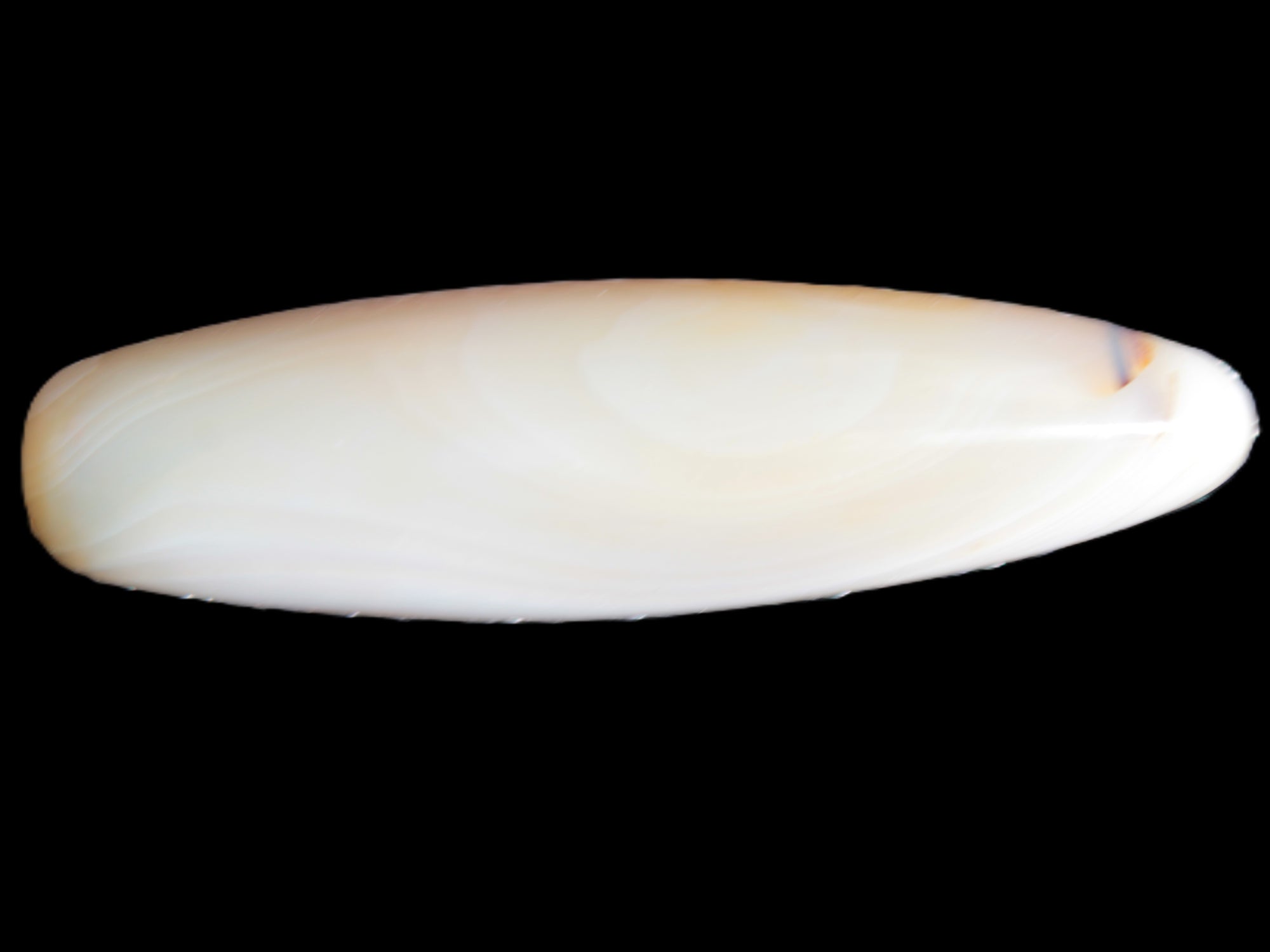 Agate massage wand 47g Rocks and Things