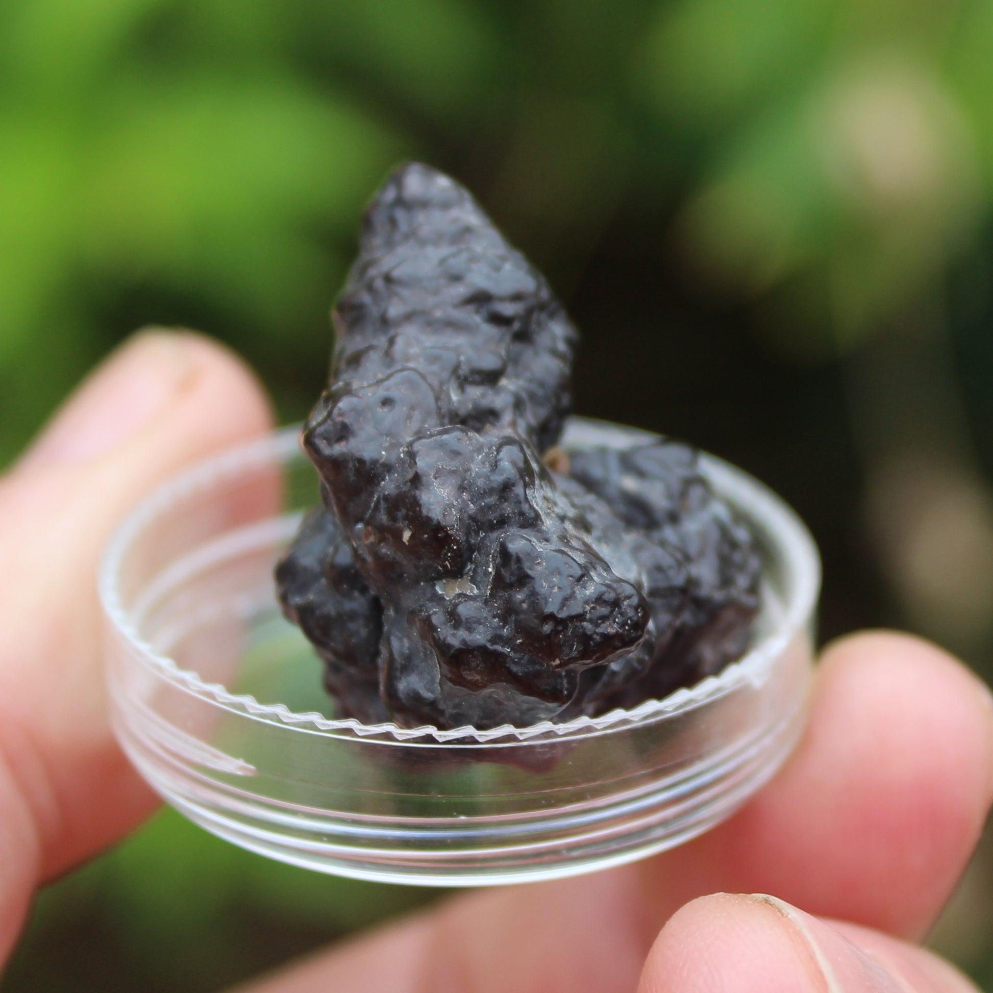 Carbonado Diamond from Egypt 16g Rocks and Things